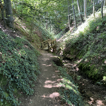Wouter de Vries - Mullerthal Trail Route 2 (Luxembourg)