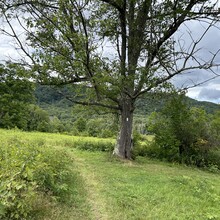 Debbie Livingston - Greylock AT Traverse (MA)