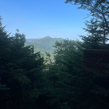 Maia Buckingham - Northern Long Trail Bridge to Bridge (Johnson-Duxbury) (VT)