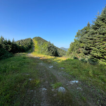 Maia Buckingham - Northern Long Trail Bridge to Bridge (Johnson-Duxbury) (VT)