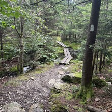 Debbie Livingston - Greylock AT Traverse (MA)