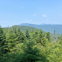 Maia Buckingham - Northern Long Trail Bridge to Bridge (Johnson-Duxbury) (VT)