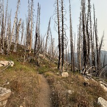 Summer Midyett - Pacific Crest Trail: Harts Pass - Northern Terminus (WA)