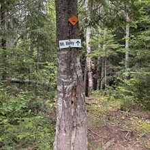 Brandon McCluskey, Matt Hagans - Mount Bailey Trail (NB, Canada)