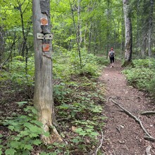 Brandon McCluskey, Matt Hagans - Mount Bailey Trail (NB, Canada)