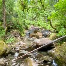 Brittany Haver - Rogue River Trail (OR)