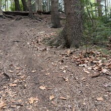 Stefan Kuckelhorn - Aachener Gipfelsteig