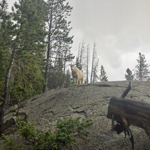 Kenny Vanderberg - Buffalo Mountain Loop (CO)