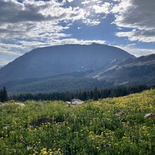 Kenny Vanderberg - Buffalo Mountain Loop (CO)