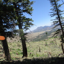 Marcy Beard - Mt. Elden/Dry Lake Hills 12 (Flagstaff, AZ)