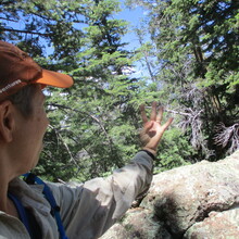 Marcy Beard - Mt. Elden/Dry Lake Hills 12 (Flagstaff, AZ)