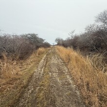 Peter Troast - Coast to coast trail Nantucket (MA)