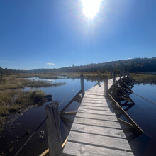 Maia Buckingham - Northville - Lake Placid Trail (NY)