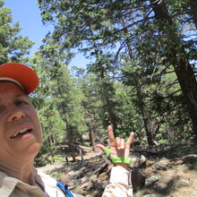 Marcy Beard - Mt. Elden/Dry Lake Hills 12 (Flagstaff, AZ)