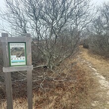 Peter Troast - Coast to coast trail Nantucket (MA)