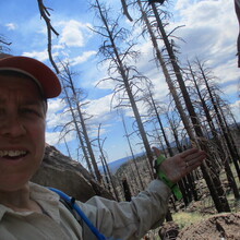 Marcy Beard - Mt. Elden/Dry Lake Hills 12 (Flagstaff, AZ)