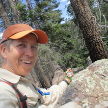 Marcy Beard - Mt. Elden/Dry Lake Hills 12 (Flagstaff, AZ)