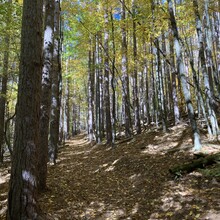 Matthew Matta - Huckleberry Loop Trail (Margaretville, NY)