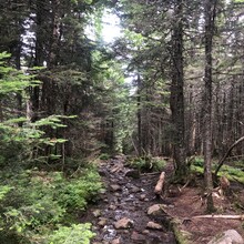 Jay Humphreys - Mt. Marcy Adirondacks Picnic (NY)
