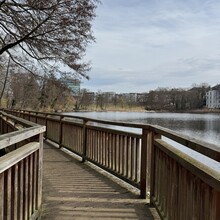 Andrew Pham - Grüne Hauptwege Berlin: Weg 18 Inner Park Ring