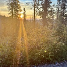 Ashley Peterson - Rattlesnake Creek 5 Peaks Loop (MT)