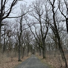 Andrew Pham - Grüne Hauptwege Berlin: Weg 18 Inner Park Ring