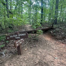 Jessica Loudermilk - Paris Mountain long loop
