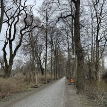 Andrew Pham - Grüne Hauptwege Berlin: Weg 18 Inner Park Ring