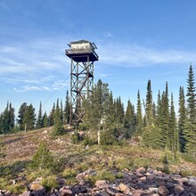 Ashley Peterson - Rattlesnake Creek 5 Peaks Loop (MT)