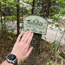 Jessica Loudermilk - Paris Mountain long loop