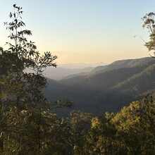 Stefan Krueger - Sunshine Coast Hinterland Great Walk