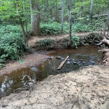 Jessica Loudermilk - Paris Mountain long loop