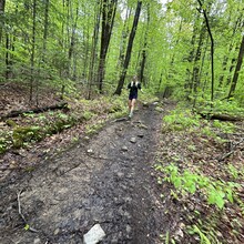 Alexandria Leveille - Sunapee Figure-8 (NH)