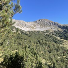 Carina Mackinger - Alpenrosensteig (Bichlbach-Lermoos)