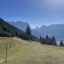 Carina Mackinger - Alpenrosensteig (Bichlbach-Lermoos)