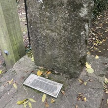 Emma Holmes - Willance's Leap Loop