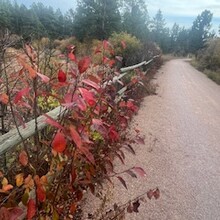 Sheila Huss - Mickelson Trail (SD)