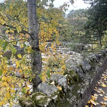 Emma Holmes - Willance's Leap Loop