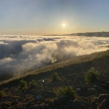 Ashley Piccone - Ohlone Wilderness Trail (CA)