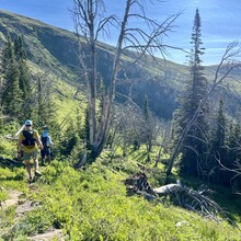 Tom Attard, Justin Grigg, Kristina Pattison - Snowcrest Trail