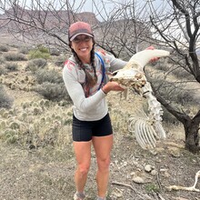 Carrie Henderson - Tonto Trail (AZ)