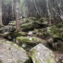 Melissa Bellavance - New England's 67 4000ers (NH, VT, ME)