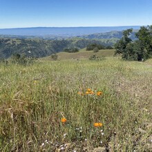 Ashley Piccone - Ohlone Wilderness Trail (CA)