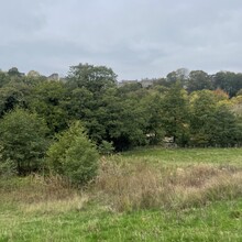 Emma Holmes - Willance's Leap Loop