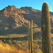 Kelly Halpin - Superstition Peak