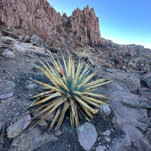 Kelly Halpin - Superstition Peak