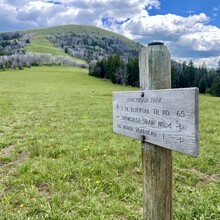 Tom Attard, Justin Grigg, Kristina Pattison - Snowcrest Trail