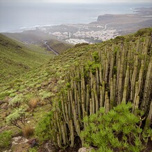 Michael Whittemore - Gran Canaria GR131 (Spain)
