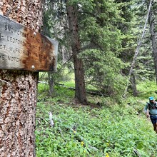 Tom Attard, Justin Grigg, Kristina Pattison - Snowcrest Trail