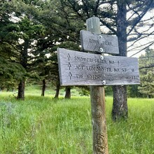 Tom Attard, Justin Grigg, Kristina Pattison - Snowcrest Trail